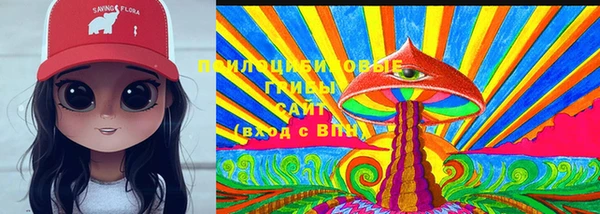 хмурый Алзамай