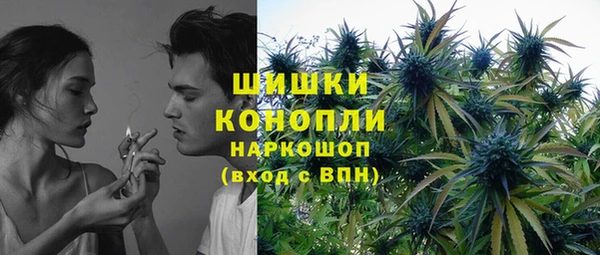 сатива Покров