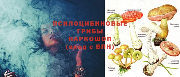 мяу мяу мука Алексеевка